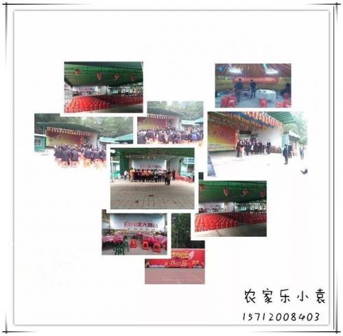 深圳龙岗烤全羊排名前十(深圳哪里有卖烤全羊架子的)插图6