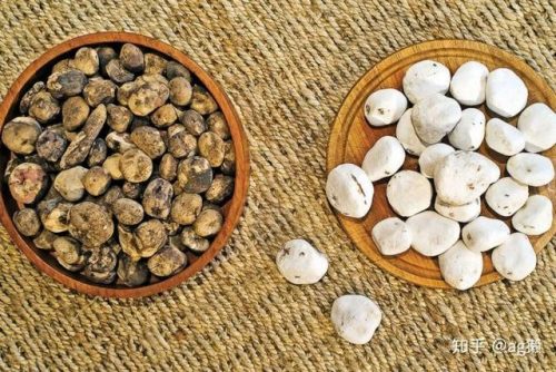 世界各州主食排名前十(世界各国的主食都是什么)插图17