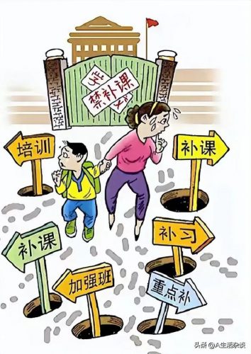 无偿补课机构排名前十(一对一教育机构排名)插图4