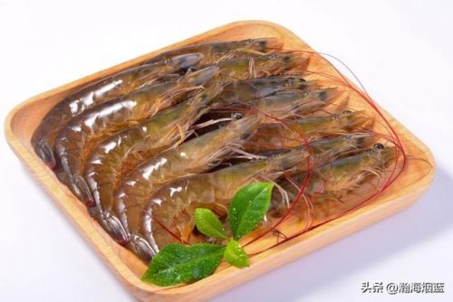 国内虾价格排名前十(大虾价格今日价)插图10