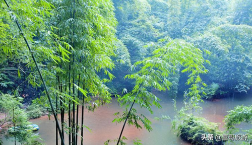 乐山排名前十景区(乐山适合一日游的景点)插图9