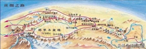 新疆茶树品种排名前十(茶树苗什么品种好)插图2