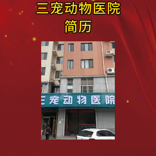 衡水宠物厂商排名前十(衡水宠物医院)插图
