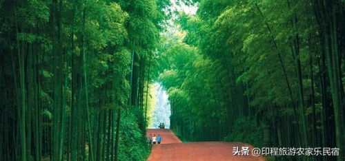 浙江省农家乐排行榜(南浔古镇农家乐排行榜)插图15