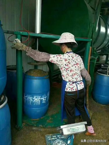 广西草类品种排名前十(广西野生植物大全图)插图23