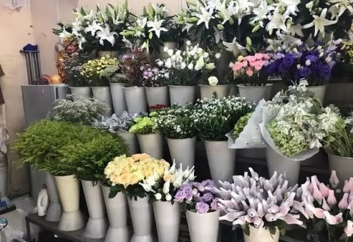 婚庆连锁加盟店排行榜(喜糖铺子加盟首选品牌)插图9