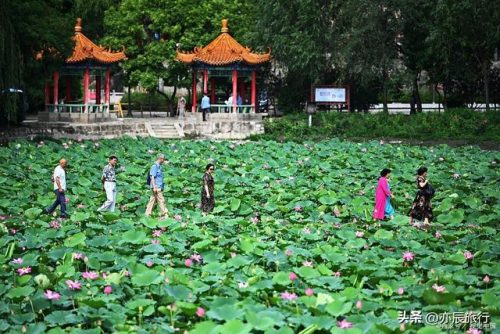 保定市旅游景点排行榜(保定市内最佳景点)插图21