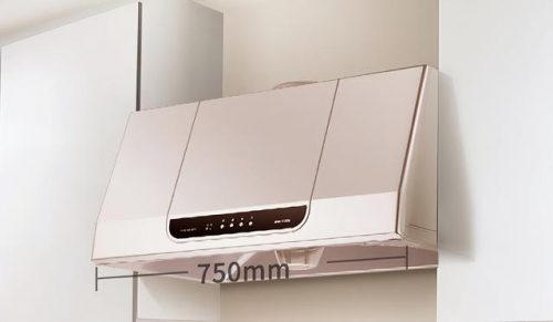 油烟机灶具品牌排行榜(吸油烟机品牌怎么选)插图11
