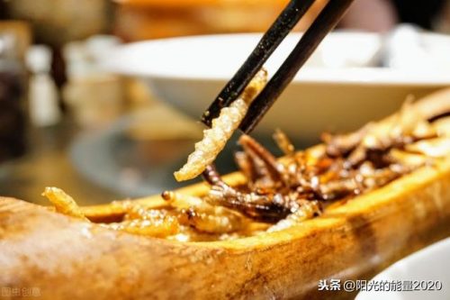 芜湖彝族企业排名前十(2019年芜湖市最好的企业)插图13