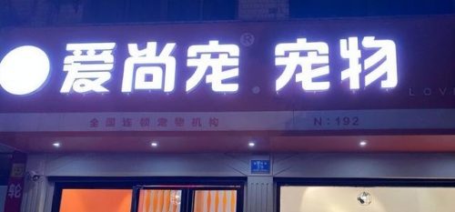 宠物店加盟店排行榜(萌宠乐园加盟需要多少钱)插图10