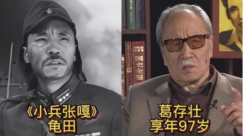 老一辈男演员排行榜(老辈明星男演员)插图16