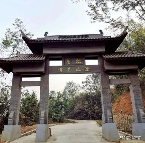 产地茶叶价格排名前十(云南十大名茶排名)插图10