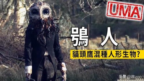 全球恐怖物种排名前十(全球数量最多的物种)插图11