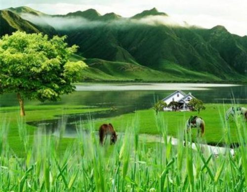 种田类小说排行榜完本(十大巅峰种田文小说)插图3