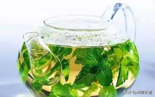 新疆茶树品种排名前十(茶树苗什么品种好)插图25