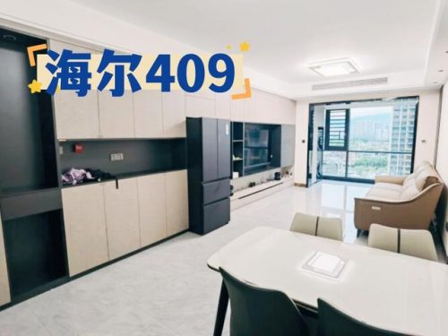 商用四门冰箱排行榜(海尔四门冰箱尺寸大全)插图2