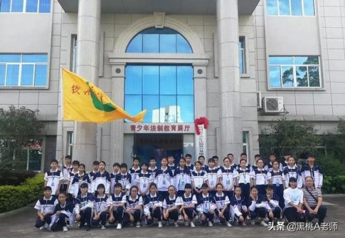 钦州河东小学排名前十(河东区所有小学排名)插图3