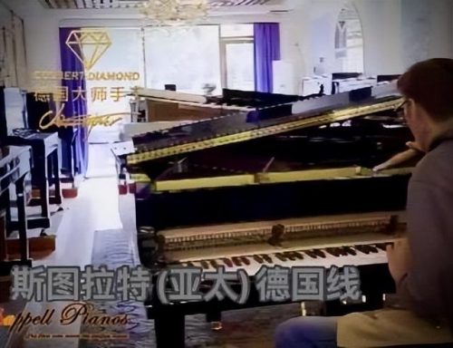 世界十大钢琴品牌排行榜(国内一线品牌钢琴)插图10