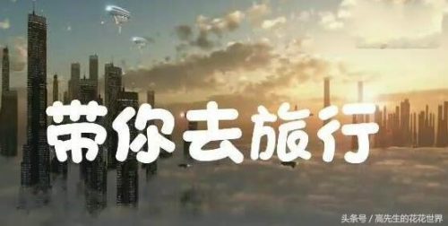 中文电音歌曲排行榜前十名(中国电声音乐十大名曲)插图