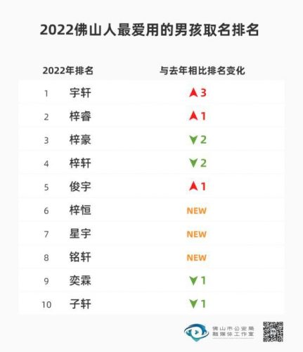 新生儿名字排行榜(免费的取名软件)插图