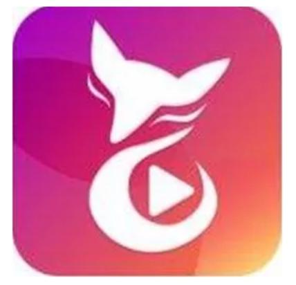 最新约会神器排行榜(现在最火的约会神器)插图
