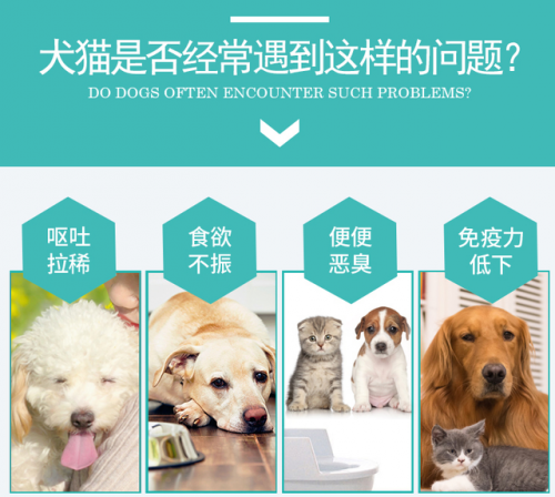 兽用益生菌品牌排行榜(畜禽用益生菌哪个牌子好)插图