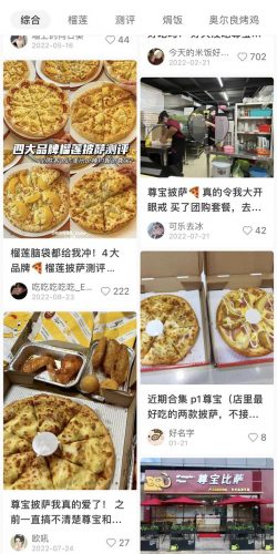 国内披萨品牌排行榜(披萨加盟10大品牌)插图2