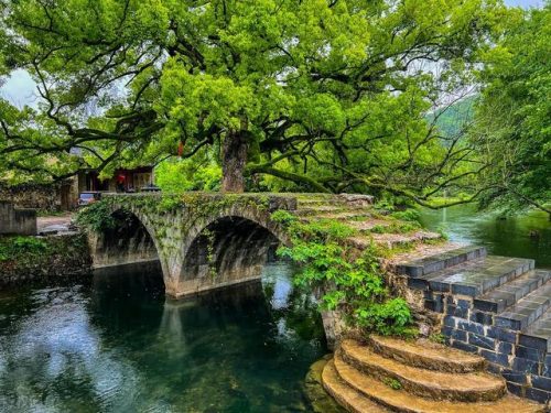 江西省景点排行榜(江西十大景点)插图36