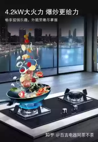 2014灶具十大品牌排名(灶台品牌排行榜前十名)插图12