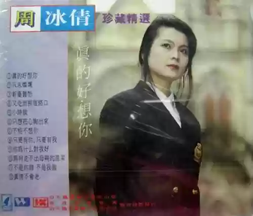 1991年十大中文金曲(1991年流行歌曲名单)插图30
