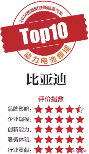 水电池十大品牌(锂电池行业排名前十企业)插图4