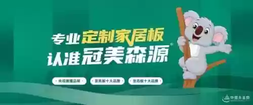 2017十大板材品牌(十大板材排名有哪些品牌)插图10