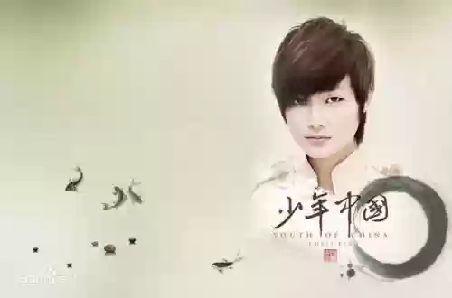 2008年十大金曲(2008年很火的网络歌曲)插图3