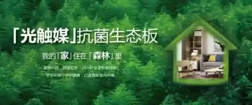 2017十大板材品牌(十大板材排名有哪些品牌)插图15