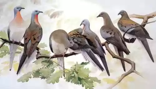 100十大灭绝(地球上五次生物大灭绝)插图7