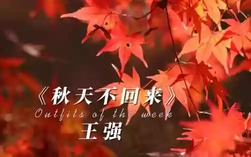 2007年度十大劲歌金曲(70年代老歌手名单)插图1