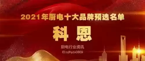 2017十大名牌厨电(厨电排名前十的品牌)插图6