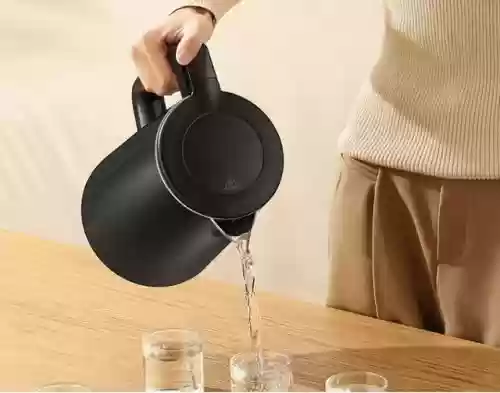 十大名牌的水壶(家用烧水壶哪个牌子好)插图16