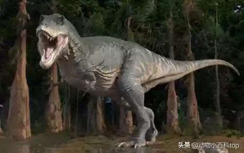 灭绝十大动物名单(世界十大濒危物种之首)插图2