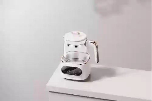 十大名牌的水壶(家用烧水壶哪个牌子好)插图6