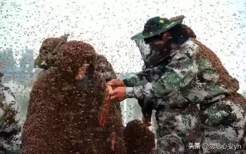 2016十大奇葩新闻(十大搞笑新闻)插图7