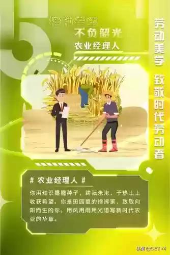 2015十大热门职业(目前最热门的十大职业)插图5