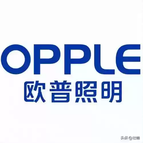 2016灯具十大品牌(十大灯具排名)插图
