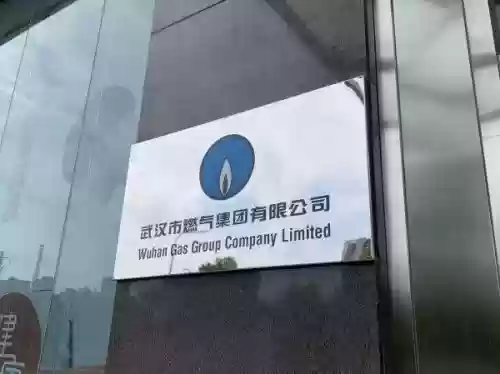 武汉十大燃气厂家(天然气锅炉十大名牌)插图