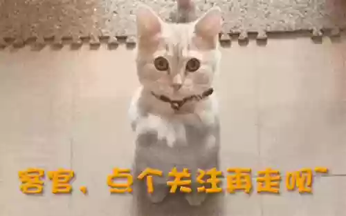 2000十大偶像林心如(林心如的作品)插图30