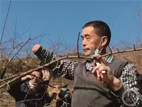 2022十大感动重庆(2024重庆新年贺词)插图4