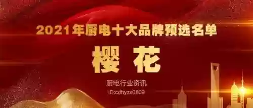 2017十大名牌厨电(厨电排名前十的品牌)插图5