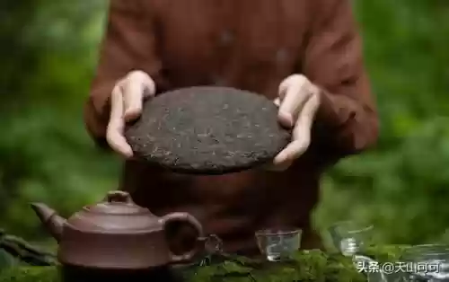 19十大知名普洱茶品牌(普洱茶牌子排名榜)插图1