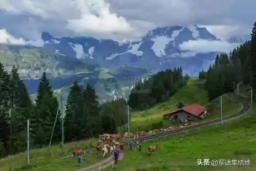 国外十大医疗行业排名(全球医疗水平排名)插图4