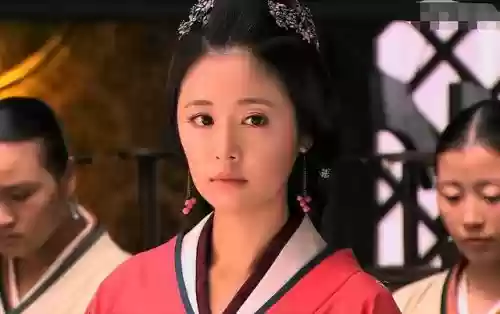 2000十大偶像林心如(林心如的作品)插图11